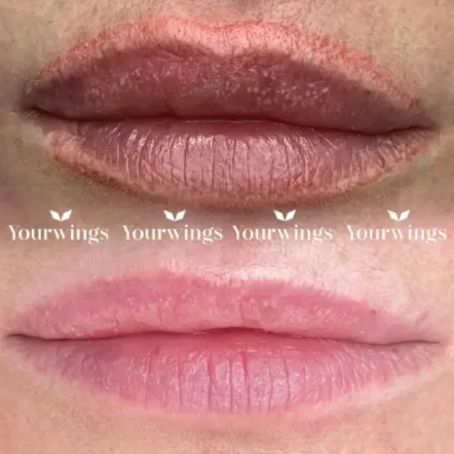 Ремувер YOUR WINGS CLASSIC