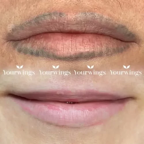 Ремувер YOUR WINGS CLASSIC