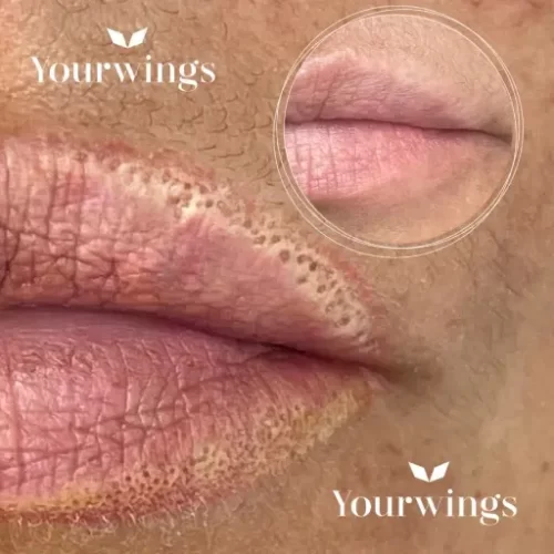 Ремувер YOUR WINGS CLASSIC