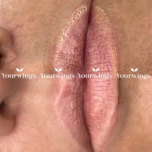 Ремувер YOUR WINGS CLASSIC